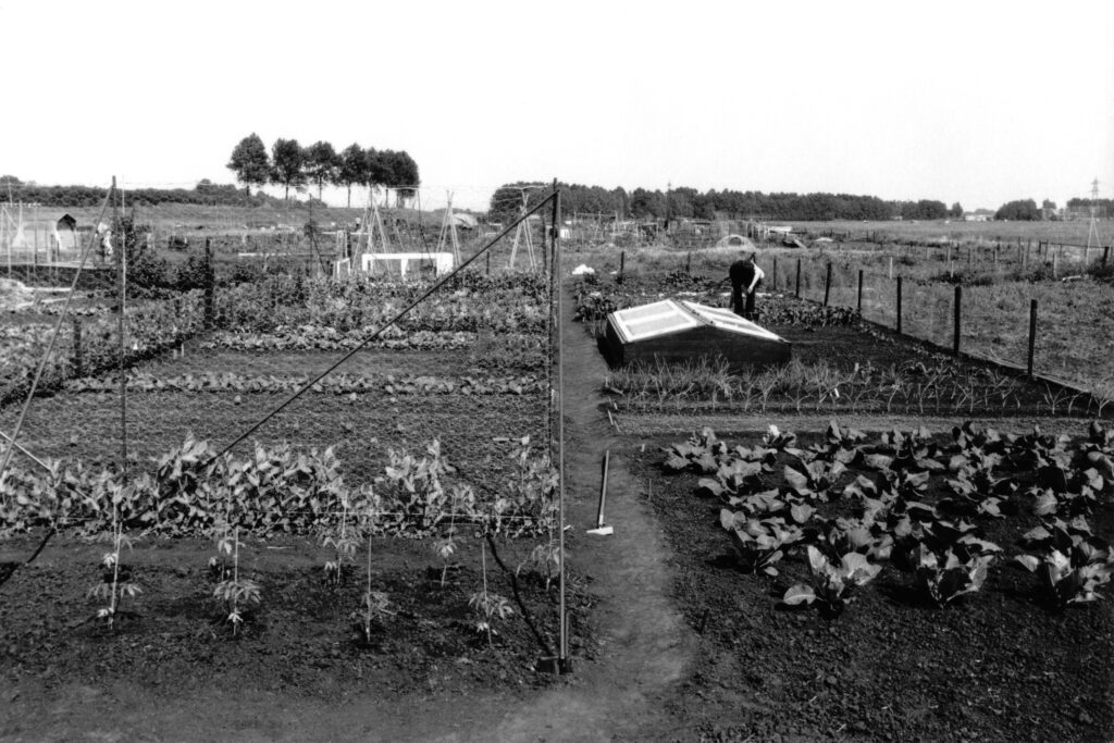 biologisch tuinieren vroeger