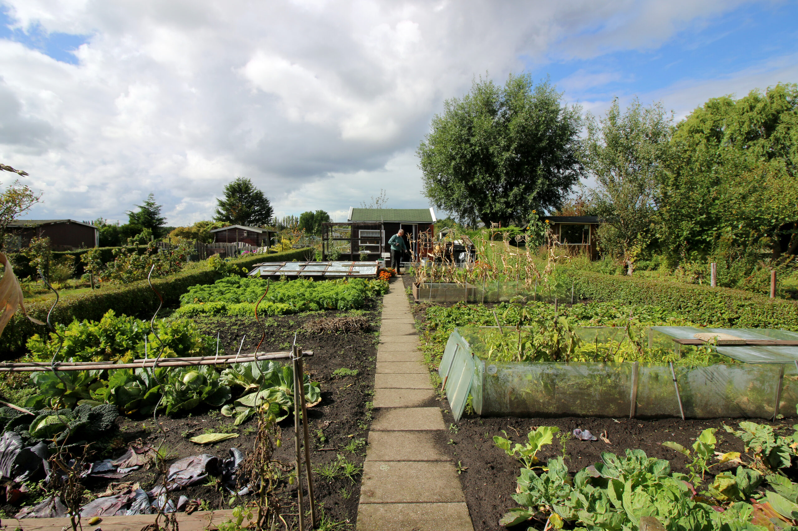 biologische moestuin vereniging